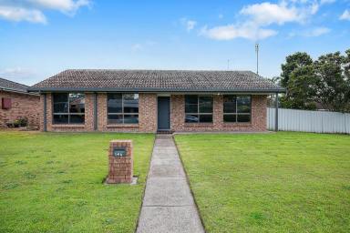 House Sold - NSW - Raymond Terrace - 2324 - RENOVATED HOME WITH POTENTIAL FOR DUAL OCCUPANCY  (Image 2)