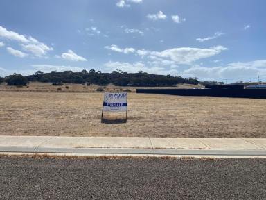 Residential Block For Sale - SA - American River - 5221 - Large, flat build ready block. Short walk to Pelican Lagoon, the boat ramp and local shops in American River (KI)  (Image 2)