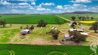 Mixed Farming For Sale - NSW - Gunnedah - 2380 - LOCATION + PRODUCTION + HOMESTEAD  (Image 2)