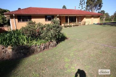 House For Lease - NSW - Cundletown - 2430 - IMMACULATE 10 ACRE PROPERTY WITH HORSE ARENA & STABLES  (Image 2)