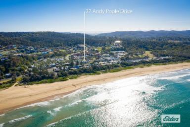 Unit For Sale - NSW - Tathra - 2550 - Prime Living Adjacent to Tathra Beach  (Image 2)