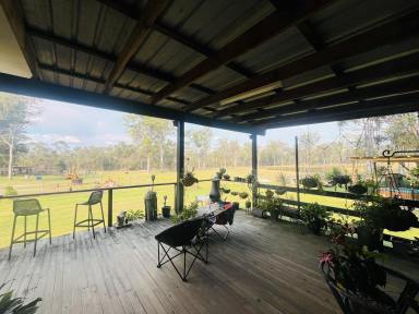 Livestock For Sale - QLD - Isis River - 4660 - QUIET RURAL LIVING AT ITS FINEST "Fernhill No.1 Paddock"  (Image 2)