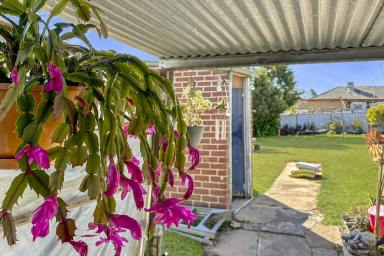 House For Sale - NSW - Cowra - 2794 - AFFORDABLE AND IN A GREAT LOCATION!  (Image 2)