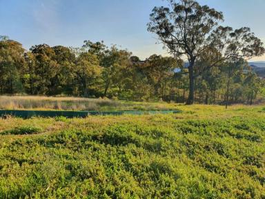 Residential Block For Sale - NSW - Muswellbrook - 2333 - LARGE SIZED RESIDENTIAL LOT 1689 SQM, ELEVATED AND SPOILED BY SOME RURAL HORIZON VIEWS  (Image 2)