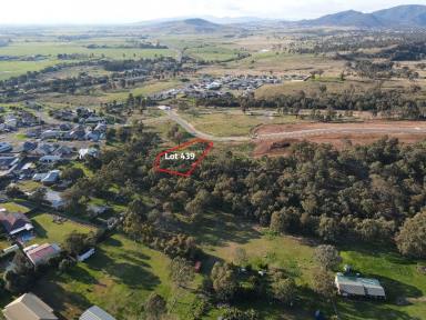 Residential Block For Sale - NSW - Muswellbrook - 2333 - LARGE SIZED RESIDENTIAL LOT 1689 SQM, ELEVATED AND SPOILED BY SOME RURAL HORIZON VIEWS  (Image 2)