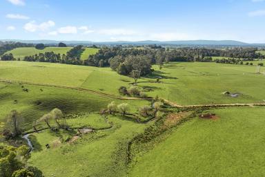 Other (Rural) For Sale - VIC - Ellinbank - 3821 - HIDDEN GEM IN ELLINBANK   - LOT 3 PETERS ROAD  (Image 2)