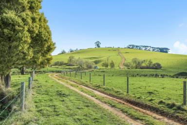 Other (Rural) For Sale - VIC - Ellinbank - 3821 - HIDDEN GEM IN ELLINBANK   - LOT 3 PETERS ROAD  (Image 2)