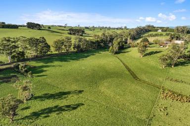 Cropping Sold - VIC - Warragul South - 3821 - OPPORTUNITY KNOCKS  (Image 2)