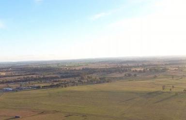 Residential Block Sold - NSW - Parkes - 2870 - Prime 10-Acre Lot in Beautiful New Estate Your Dream Property Awaits!  (Image 2)