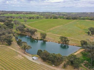 Mixed Farming For Sale - NSW - Young - 2594 - 90acs* With Water Entitlements, Town Water, Bore & 2 10ac* Blocks Ready To Hit The Market!!  (Image 2)