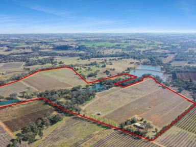 Mixed Farming For Sale - NSW - Young - 2594 - 90acs* With Water Entitlements, Town Water, Bore & 2 10ac* Blocks Ready To Hit The Market!!  (Image 2)