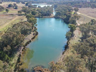 Lifestyle For Sale - NSW - Young - 2594 - 90acs* With Water Entitlements, Town Water, Bore & 2 10ac* Blocks Ready To Hit The Market!!  (Image 2)
