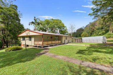 Acreage/Semi-rural For Sale - NSW - Kyogle - 2474 - A TRANQUIL PROPERTY TO TREASURE  (Image 2)