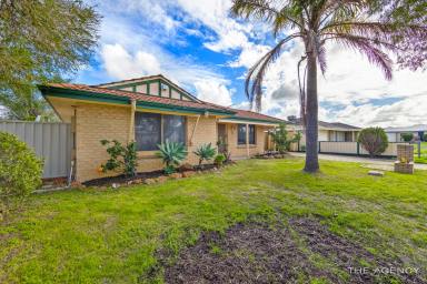 House Sold - WA - Maddington - 6109 - Street Fronted | 3 Bedroom | Home  (Image 2)