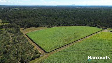 Lifestyle For Sale - QLD - Bungadoo - 4671 - Acreage Land - Private Location  (Image 2)