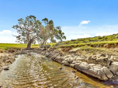 Residential Block For Sale - SA - Keyneton - 5353 - Large productive lifestyle property (38.5 Ha). Exceptional views, absolute peace and tranquility.  (Image 2)