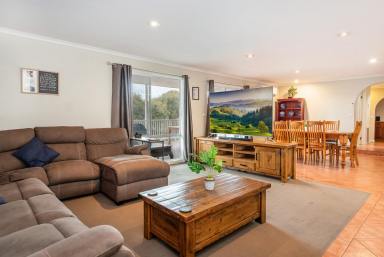 House Sold - VIC - Hamilton - 3300 - Central family living  (Image 2)