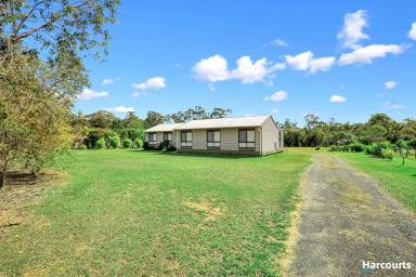 House For Sale - QLD - Redridge - 4660 - Acreage Living! Massive House! Huge Shed!  (Image 2)