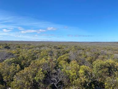 Residential Block Sold - SA - Stun'sail Boom - 5223 - 4 Large parcels of Land (27 Ha - 47 Ha). Kangaroo Island. To be auctioned under LGA Section 184.  (Image 2)