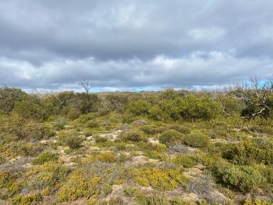 Residential Block Sold - SA - Stun'sail Boom - 5223 - 4 Large parcels of Land (27 Ha - 47 Ha). Kangaroo Island. To be auctioned under LGA Section 184.  (Image 2)