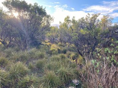 Residential Block Sold - SA - Island Beach - 5222 - Affordable building block. Island Beach Kangaroo Island. To be auctioned under LGA Section 184.  (Image 2)