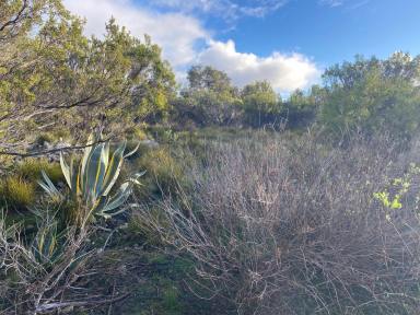 Residential Block Sold - SA - Island Beach - 5222 - Affordable building block. Island Beach Kangaroo Island. To be auctioned under LGA Section 184.  (Image 2)