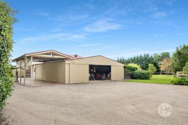 Acreage/Semi-rural Sold - VIC - Mount Martha - 3934 - Multigenerational Living with Exceptional Work-from-Home Amenities  (Image 2)