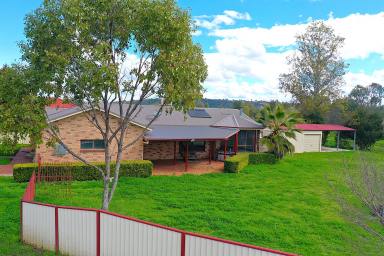 House For Sale - NSW - Quirindi - 2343 - SPACIOUS 4 BEDROOM BRICK VENEER FAMILY HOME  (Image 2)