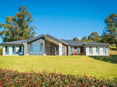 House Sold - NSW - Bega - 2550 - IMMACULATE NORTH FACING FAMILY HOME  (Image 2)