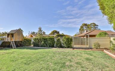 House Sold - VIC - Mildura - 3500 - FIRST HOME BUYER/INVESTMENT OPPORTUNITY  (Image 2)