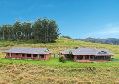 Acreage/Semi-rural Sold - NSW - Kyogle - 2474 - PICTURESQUE PANORAMIC VIEWS  (Image 2)