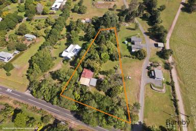 Acreage/Semi-rural Sold - QLD - Palmwoods - 4555 - A Rare Piece of Palmwoods History  (Image 2)