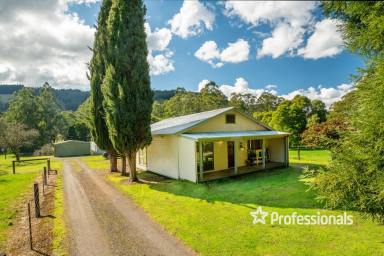 House For Sale - VIC - Gilderoy - 3797 - HOMESTEAD OF YESTER-YEAR  (Image 2)