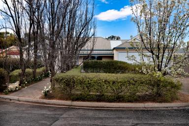 House Sold - VIC - Mildura - 3500 - Low maintenace, high quality home!  (Image 2)