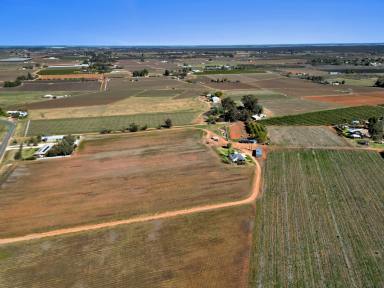 Viticulture For Sale - VIC - Red Cliffs - 3496 - 20 Acres Vineyard (approx.)  (Image 2)