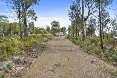 Residential Block For Sale - TAS - Primrose Sands - 7173 - Idyllic Coastal Living in Primrose Sands  (Image 2)