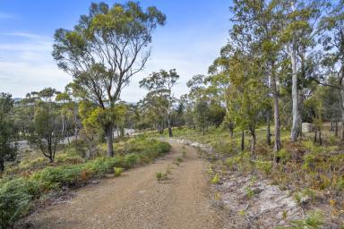 Residential Block For Sale - TAS - Primrose Sands - 7173 - Idyllic Coastal Living in Primrose Sands  (Image 2)