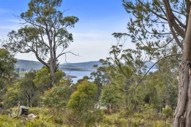 Residential Block For Sale - TAS - Primrose Sands - 7173 - Idyllic Coastal Living in Primrose Sands  (Image 2)