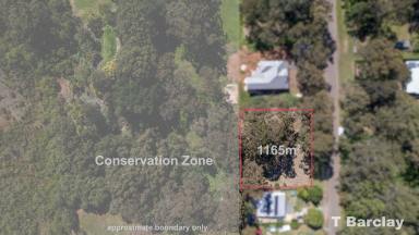 Residential Block For Sale - QLD - Lamb Island - 4184 - Huge 1165m2, Surveyed, Conservation Land Outlook  (Image 2)