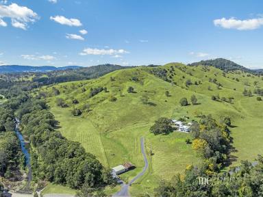 Residential Block For Sale - QLD - Laceys Creek - 4521 - Exceptional Acreage Land with Breathtaking Views  (Image 2)