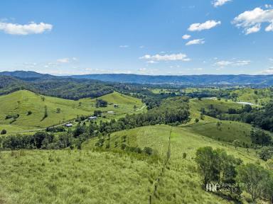 Residential Block For Sale - QLD - Laceys Creek - 4521 - Exceptional Acreage Land with Breathtaking Views  (Image 2)