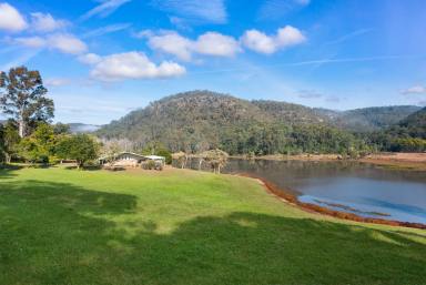 House For Sale - NSW - St Albans - 2775 - Exceptional Conference and Retreat Centre - Prime Commercial Real Estate  (Image 2)