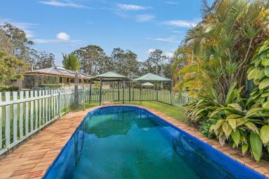 Acreage/Semi-rural For Sale - NSW - South Kempsey - 2440 - "Bunyarra"-Income Earning Oasis on 23 Acres Just 10 Minutes to Surf  (Image 2)