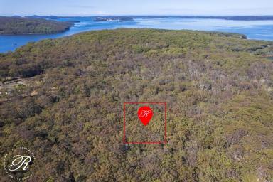 Other (Rural) Sold - NSW - North Arm Cove - 2324 - Recreational Land in The Cove!  (Image 2)