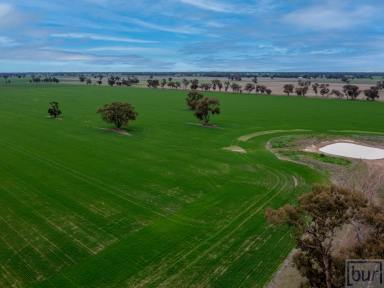 Residential Block For Sale - NSW - Rand - 2642 - “Quality Mixed farming country in popular Farming district”  (Image 2)