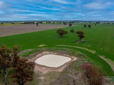 Residential Block For Sale - NSW - Rand - 2642 - “Quality Mixed farming country in popular Farming district”  (Image 2)