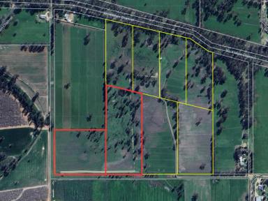 Residential Block For Sale - VIC - Koondrook - 3580 - Large Rural Investment or Lifestyle block  (Image 2)