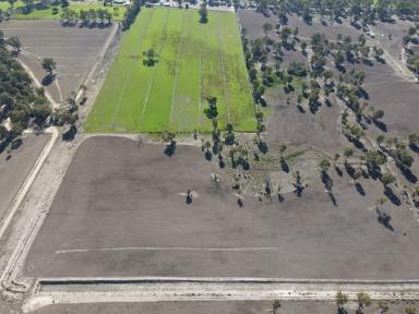 Residential Block For Sale - VIC - Koondrook - 3580 - Large Rural Investment or Lifestyle block  (Image 2)