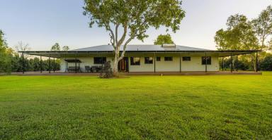 House Sold - WA - Kununurra - 6743 - Stop looking… the perfect property does exist!  (Image 2)