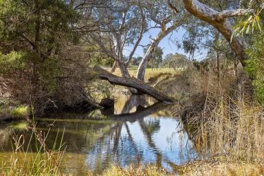 Lifestyle For Sale - VIC - Batesford - 3213 - "Moorabool" - on the Moorabool River  (Image 2)